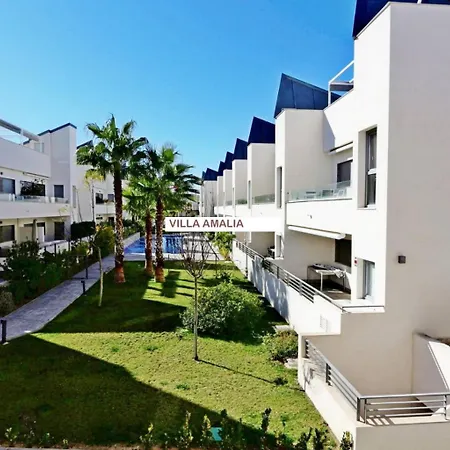 Amalia Torrevieja